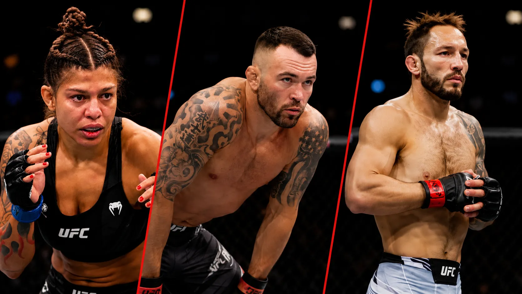 News | Combat Evolved Sports