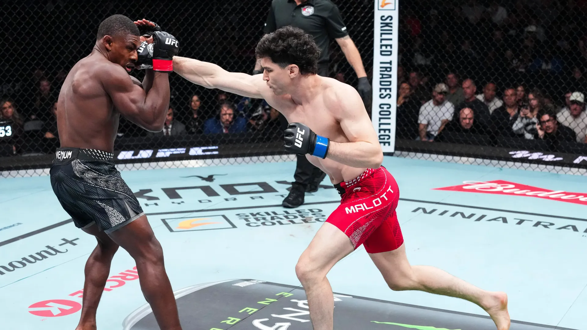 UFC Edmonton Results: Mike Malott Knocks Out Joaquin Buckley in Second Round